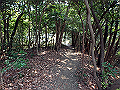 bunmori046_thumb.png