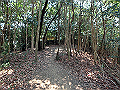 bunmori048_thumb.png