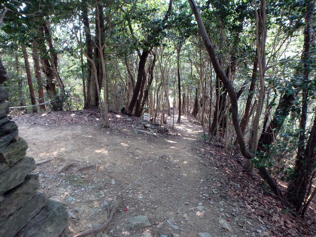bunmori049.jpg