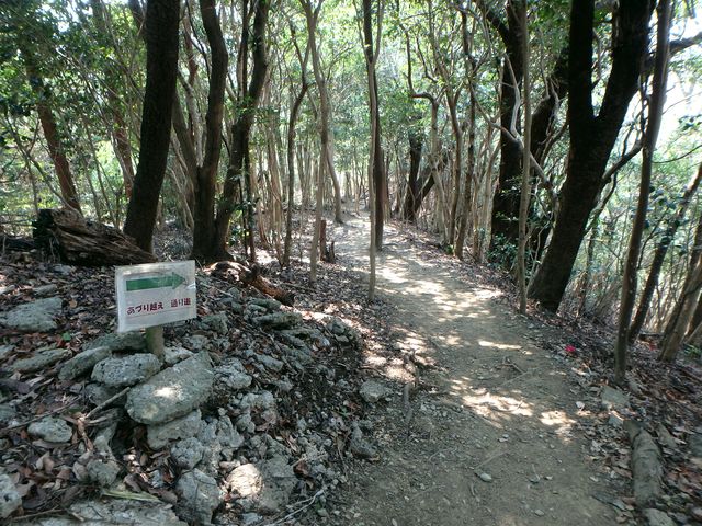bunmori051.jpg