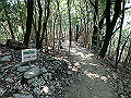 bunmori051_thumb.png