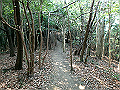 bunmori052_thumb.png