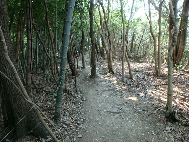 bunmori053.jpg