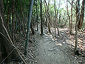 bunmori053_thumb.png