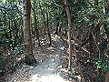 bunmori055_thumb.png