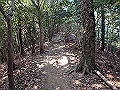 bunmori056_thumb.png