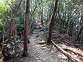 bunmori057_thumb.png