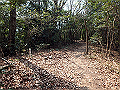 bunmori059_thumb.png