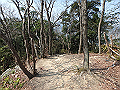 bunmori060_thumb.png