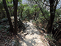 bunmori061_thumb.png