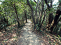 bunmori062_thumb.png