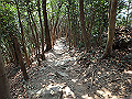 bunmori063_thumb.png