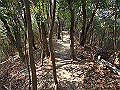 bunmori064_thumb.png