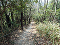 bunmori069_thumb.png
