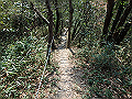 bunmori071_thumb.png