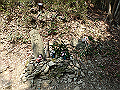 bunmori073_thumb.png