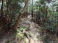 bunmori074_thumb.png