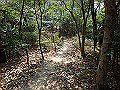 bunmori075_thumb.png