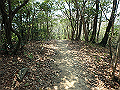bunmori079_thumb.png