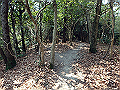 bunmori083_thumb.png