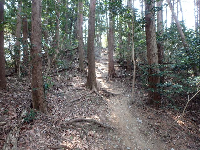 bunmori084.jpg