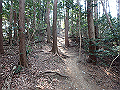 bunmori084_thumb.png