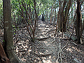 bunmori088_thumb.png