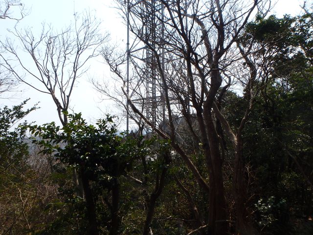 bunmori091.jpg