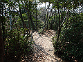 bunmori092_thumb.png