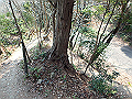 bunmori096_thumb.png