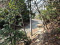 bunmori097_thumb.png