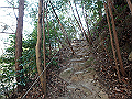 bunmori099_thumb.png
