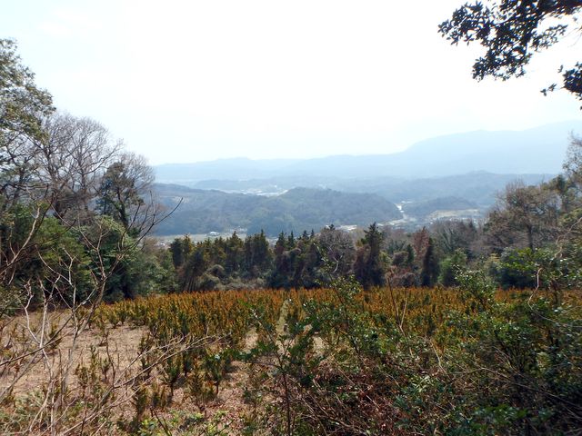 bunmori111.jpg