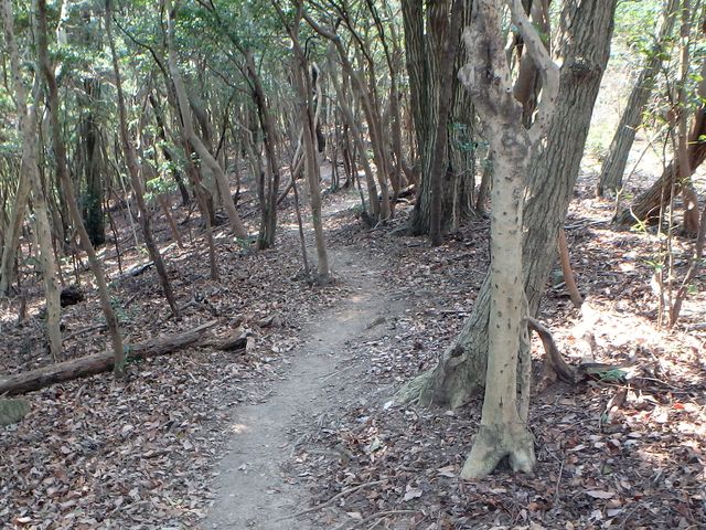 bunmori115.jpg