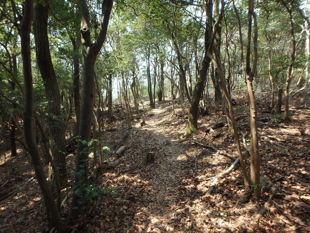 bunmori117.jpg