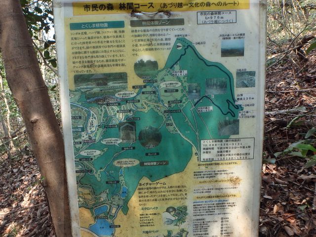 bunmori120.jpg