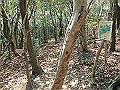bunmori130_thumb.png