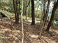 bunmori133_thumb.png