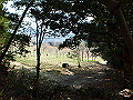 bunmori135_thumb.png