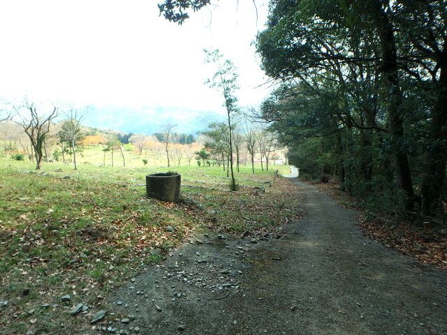 bunmori136.jpg