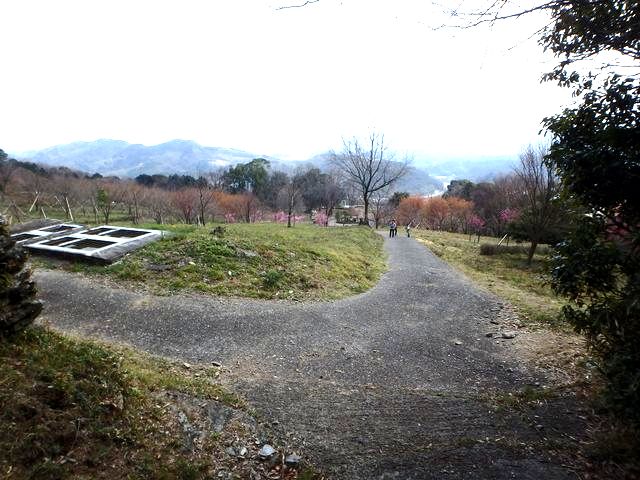 bunmori137.jpg