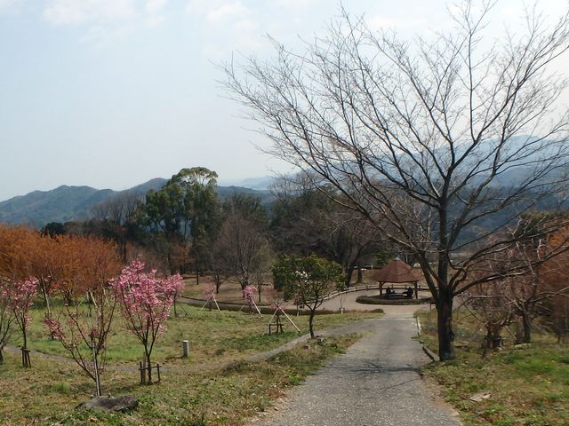 bunmori140.jpg