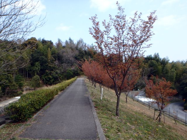 bunmori147.jpg