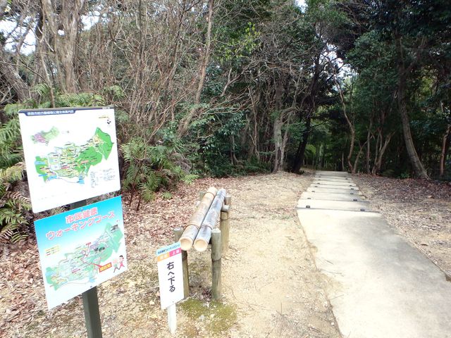 bunmori151.jpg