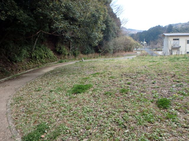 bunmori158.jpg