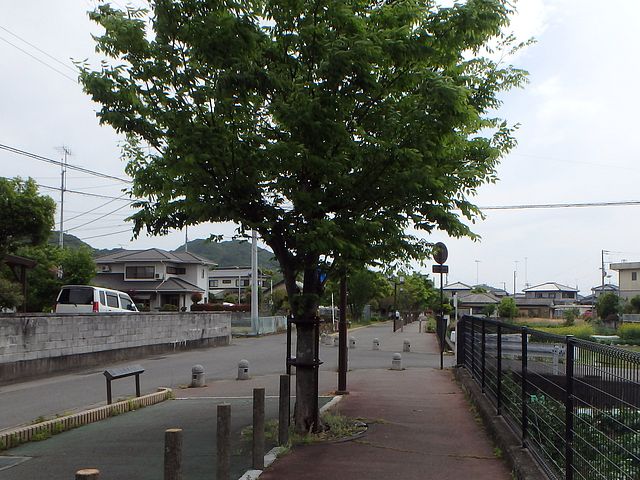 himi009.jpg