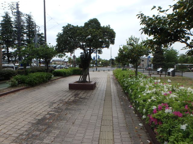 himi018.jpg