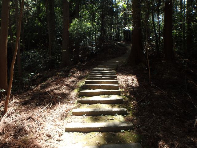 itinomiya10.jpg