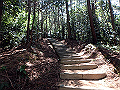 itinomiya11_thumb.png