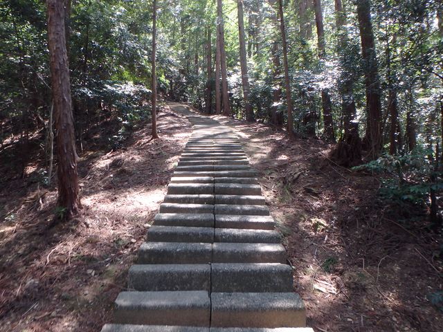 itinomiya12.jpg
